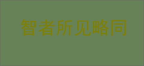 智者所见略同的意思,及其含义,智者所见略同基本解释