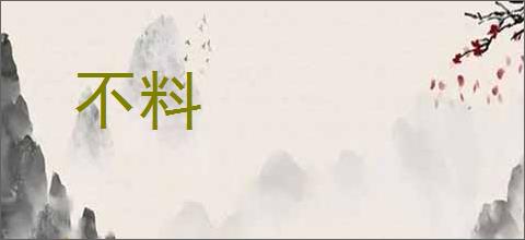 不料