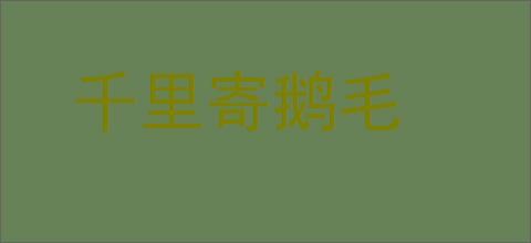 千里寄鹅毛的意思,及其含义,千里寄鹅毛基本解释