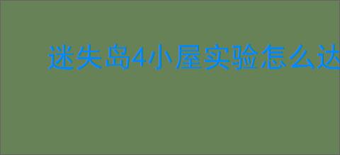 迷失岛4小屋实验怎么达成全成就？迷失岛4全成就汇总