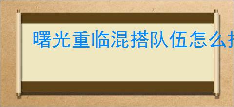 曙光重临混搭队伍怎么搭配