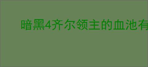 暗黑4齐尔领主的血池有什么属性效果