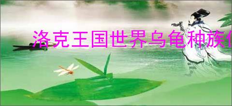 洛克王国世界乌龟种族值是多少