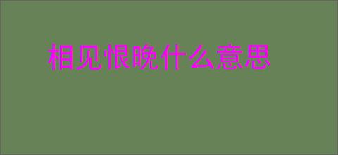 相见恨晚什么意思