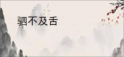 驷不及舌