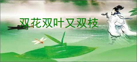 双花双叶又双枝