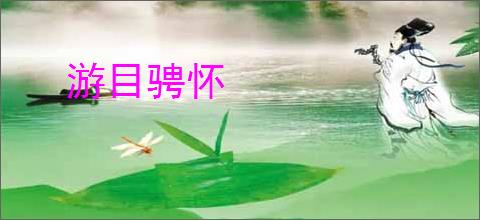 游目骋怀