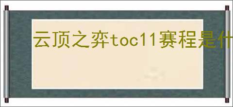 云顶之弈toc11赛程是什么