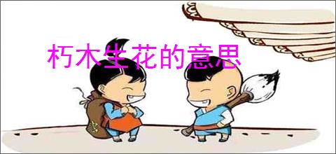 朽木生花的意思