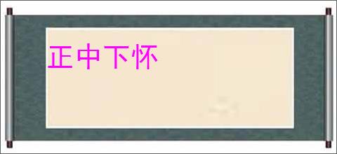 正中下怀