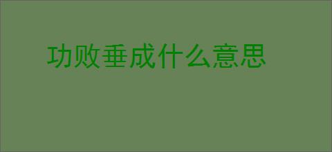 功败垂成什么意思