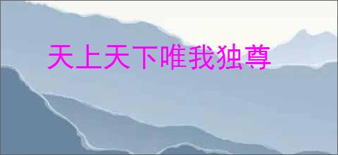 天上天下唯我独尊