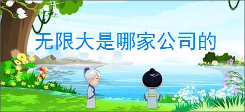 无限大是哪家公司的