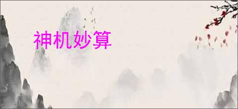 神机妙算