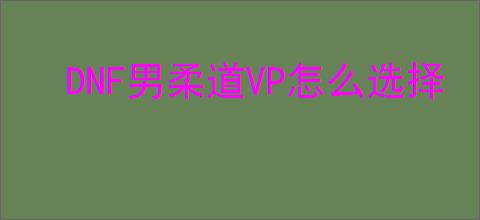 DNF男柔道VP怎么选择