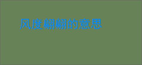 风度翩翩的意思