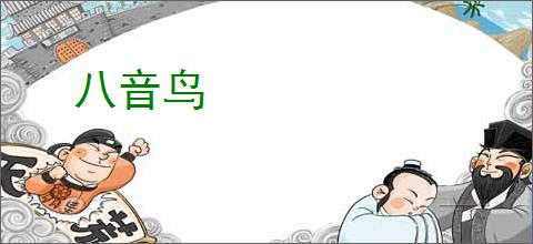 八音鸟