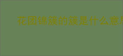 花团锦簇的簇是什么意思