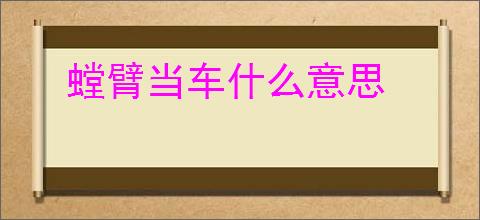 螳臂当车什么意思