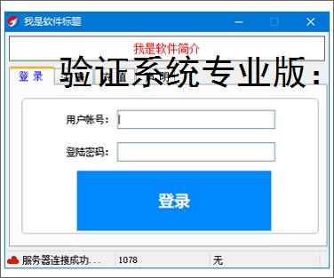 验证系统专业版：多维度软件防护方案解析
