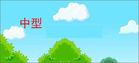 中型