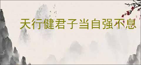 天行健君子当自强不息