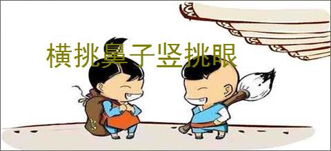 横挑鼻子竖挑眼