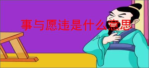 事与愿违是什么意思