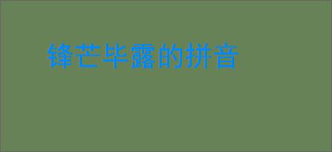 锋芒毕露的拼音