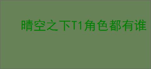 晴空之下T1角色都有谁