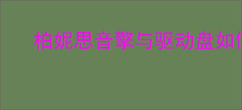 柏妮思音擎与驱动盘如何终极搭配