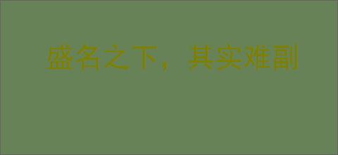 盛名之下，其实难副