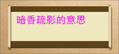 暗香疏影的意思