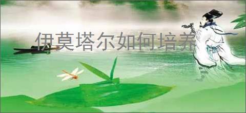 伊莫塔尔如何培养