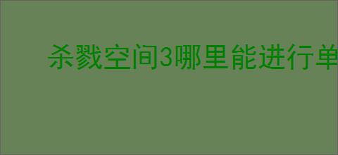 杀戮空间3哪里能进行单点防守