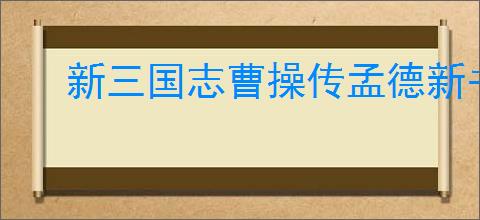 新三国志曹操传孟德新书民兵追乱军通关攻略