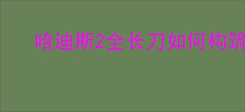 哈迪斯2全长刀如何构筑好用的BD攻略分享
