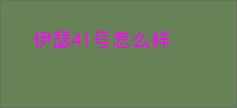伊瑟41号怎么样