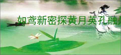 如鸢新密探黄月英孔融是否值得抽