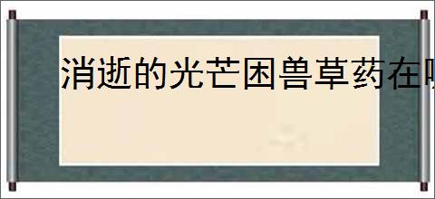 消逝的光芒困兽草药在哪采摘