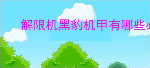 解限机黑豹机甲有哪些必要技巧