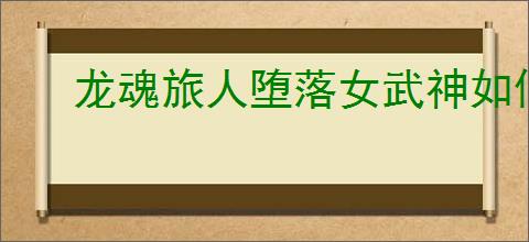 龙魂旅人堕落女武神如何选择装备